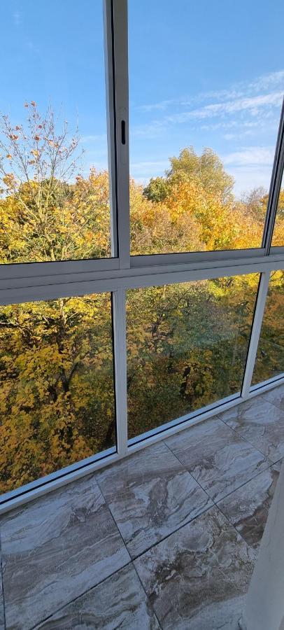Jaukus Apartamentai Miesto Centre Szawle Zewnętrze zdjęcie